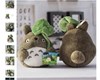 /slike/rapex_slike_arhiva/g2022/m02/totoro.1jpg.jpg