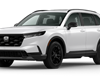 /slike/rapex_slike_arhiva/g2025/m05/CR-V-01451-25.png